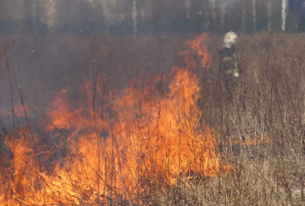 The Fire Continues: 133 Fires in the Last Three Days