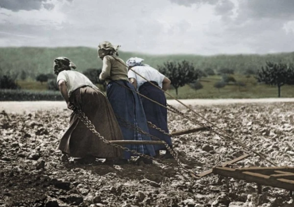 "Work Hard!" Billionaire Calls for 'Getting Together' and Working Six Days a Week for 12 Hours