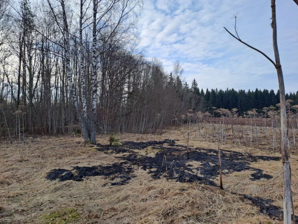 Stay indoors, close windows and doors: residents in two regions of Latvia warned of potential drone threat