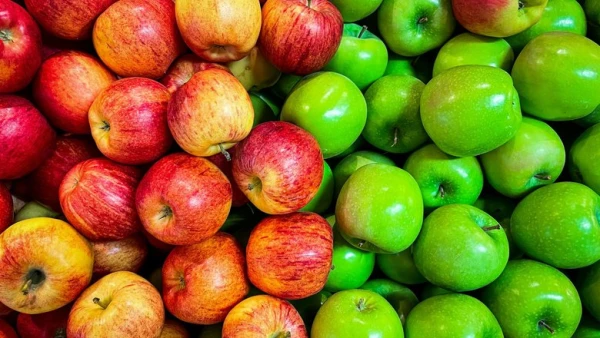 Nutritionist Reveals the Consequences of Overindulging in Apples