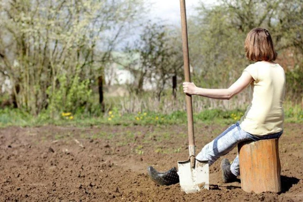 When Should You Start Preparing Garden Beds in Spring?