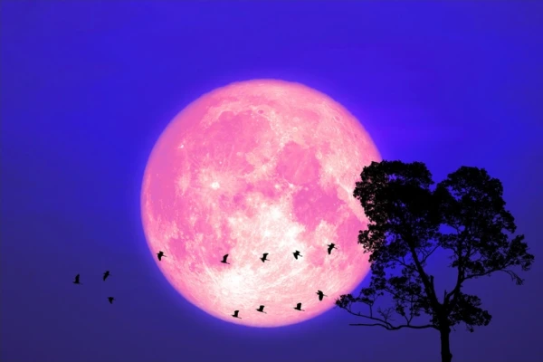 The Mysterious Pink Full Moon on April 2: The Key to Inner Harmony and Balance
