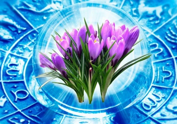 April 2026: Tamara Globa's Forecast – A Whirlwind of Change and Fateful Decisions