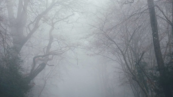 Meteorologists Warned of Weather Changes in Latvia