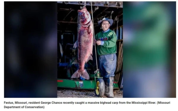 American Sets World Record for Catching Bighead Carp