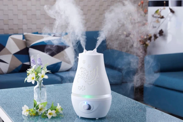Therapist: Humidifier Can Cause Pneumonia