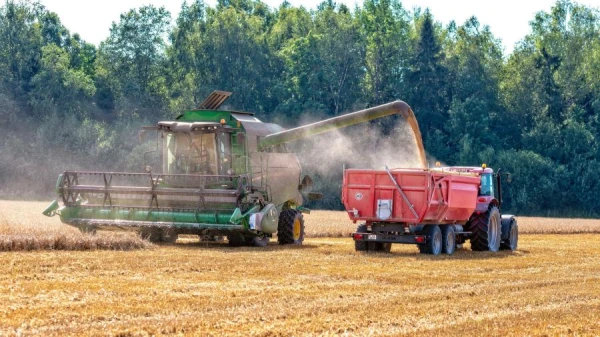 In defiance of sanctions, the level of self-sufficiency of workers in Latvia in food products is rising