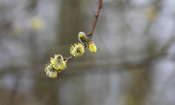 Thursday is expected to be sunny