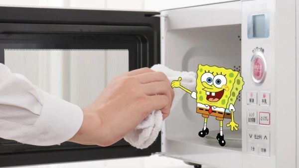 Dangerous Habit: Why Sponges Should Not Be 'Disinfected' in the Microwave