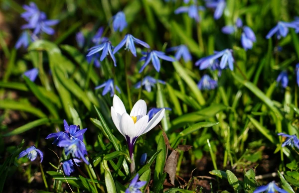 March of this year in Latvia — the warmest and fourth driest in the history of observations