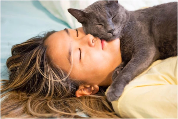 Why Cats Lie on People: Reasons You Didn't Know