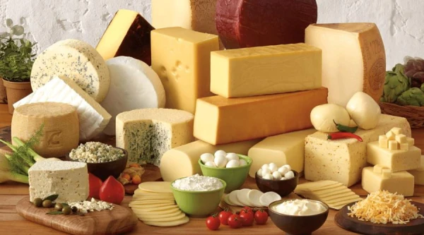 Can cheese be consumed with high cholesterol levels?