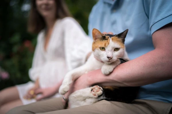 The veterinarian explained the differences between castration and sterilization