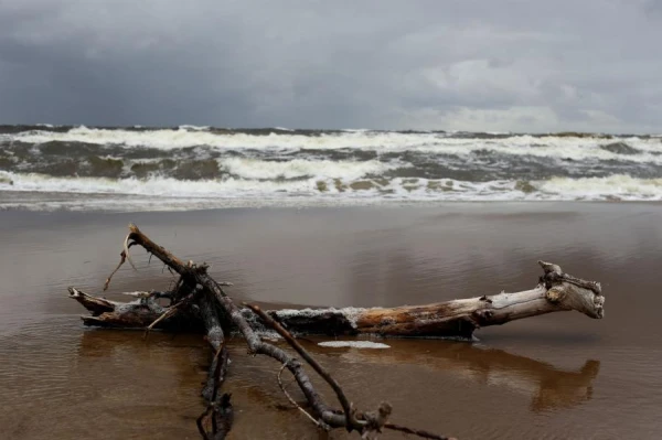 Warning of Strong Winds on the Coast