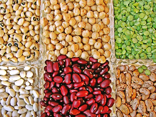 Legumes Help Control Blood Sugar in Type 2 Diabetes