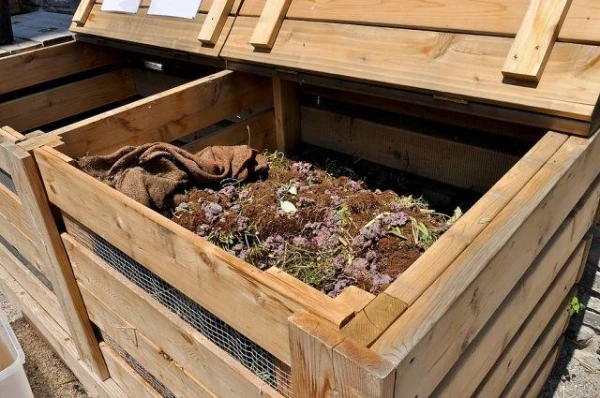 What to do if there is no manure?