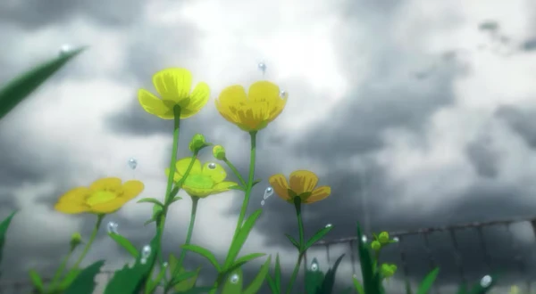 Forecasters Updated the Forecast for Tuesday in Latvia