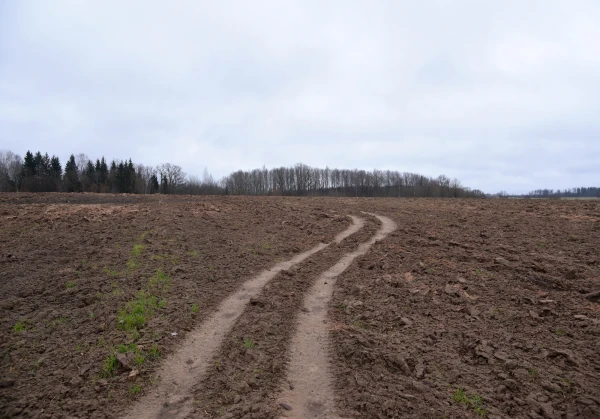 Cool weather will persist in Latvia on Tuesday