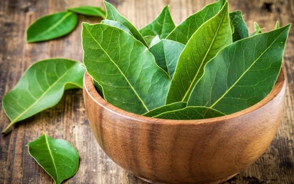 Bay Leaf Instead of Chemicals: A Simple Way to Make Laundry More Effective