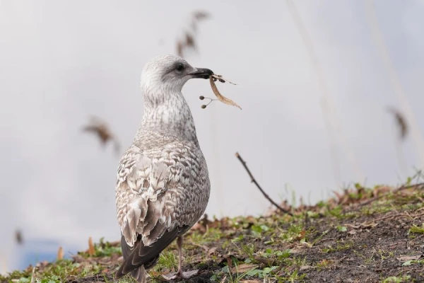Meteorologists Warned About Tomorrow's Weather Change