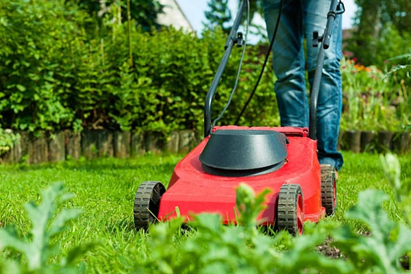 Man Inherits 500 Lawnmowers