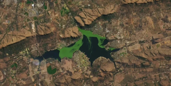 Toxic Green Mass Takes Over Reservoir in South Africa: Visible Even from Space