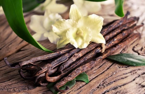 Vanilla Protects Cells from Oxidative Stress
