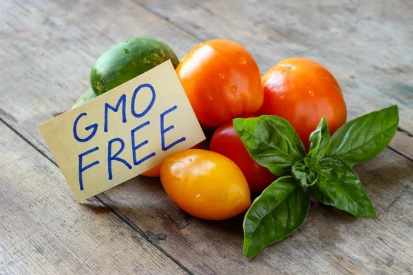 Should We Be Afraid of GMOs: An Expert's Opinion