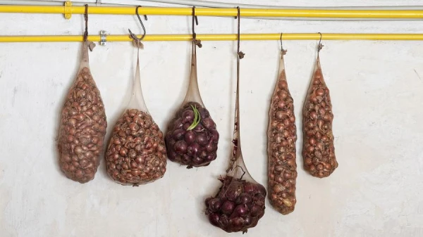 Life Hacks of Soviet People: From Plungers to Stockings with Onions