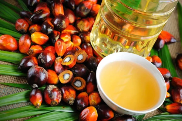 The specialist explained which palm oil product can be safe