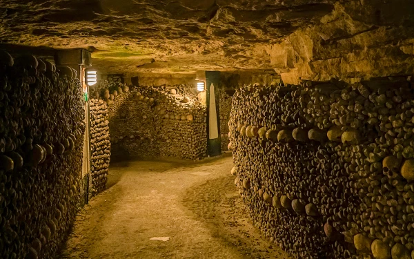 Paris Catacombs Reopen to Visitors