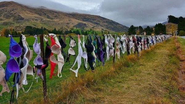 The More They Ban — The More Popular It Becomes: The Story of the Most Unusual 'Flash Mob' in the World