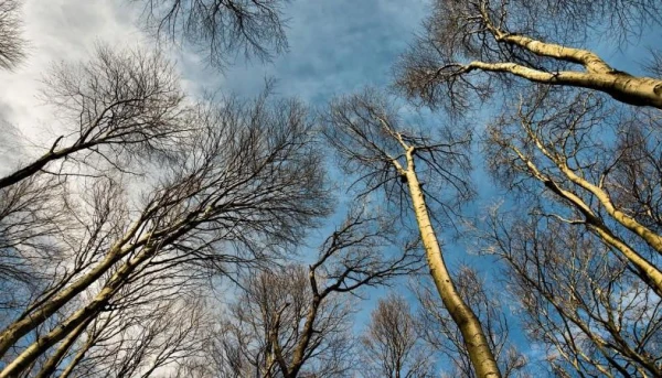 Friday will be mostly sunny