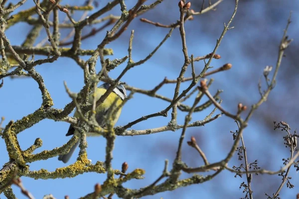 Will it be warmer on Saturday? Forecasters clarified the forecast...