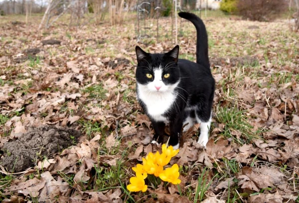 Saturday will be mostly sunny