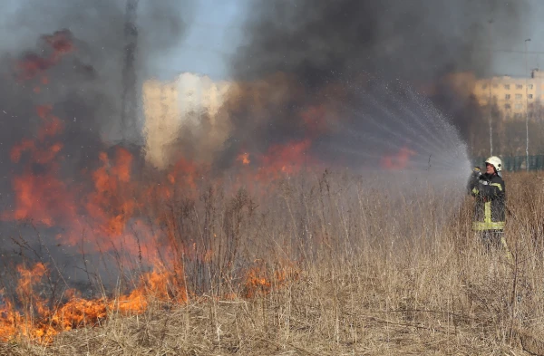 Half of the Fires in a Day Are Due to Dry Grass: Alarming Statistics
