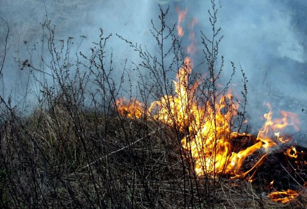 Are you burning in the garden today? Then, perhaps, someone is already on their way to you