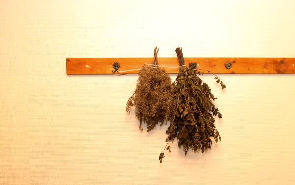 The State of Bathhouse Traditions: To Be Discussed at the Latvian Academy of Sciences