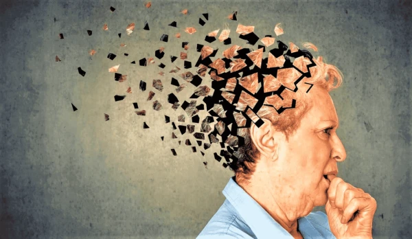 Cooking at the Helm of the Mind: Scientists Reveal How Cooking Protects the Brain from Dementia