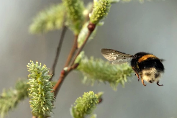 Forecast for Wednesday, April 15. Maybe you shouldn't go to work?