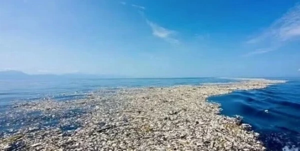 The Great Pacific Garbage Patch Can No Longer Be Destroyed: It Has Become Home to Dozens of Species