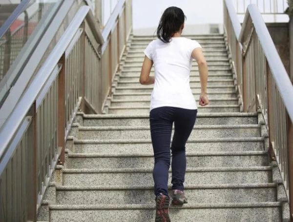 Stairs Instead of an Elevator: A Simple Way to Protect Bones from Age-Related Changes