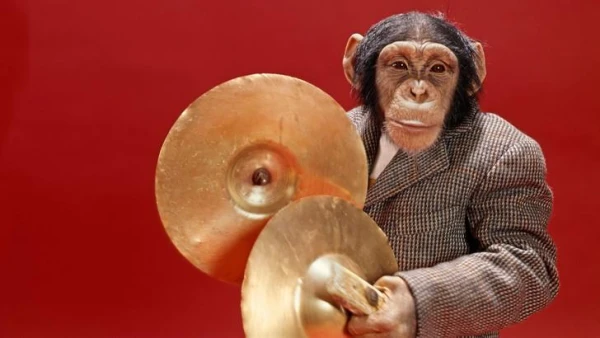 Alcoholism in the Wild: How Animals Consume Alcoholic Beverages