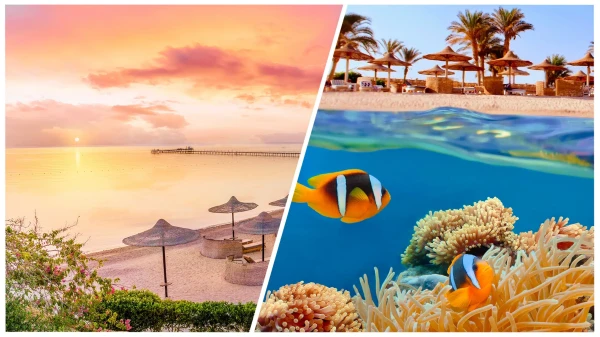 Sharm El-Sheikh or Hurghada: Which to Choose for a Vacation in Egypt
