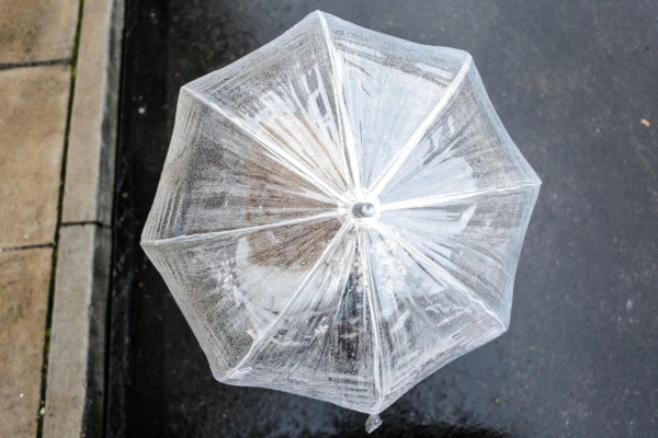 Don't forget your umbrella: Latvia will be covered by rain tomorrow