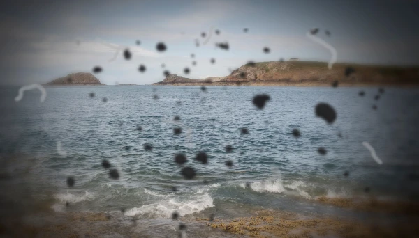 Black Spots in Front of the Eyes: How to Distinguish Normal from Threatening Vision