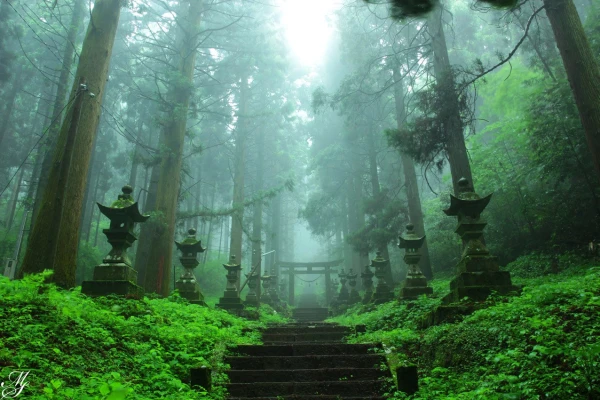 Why Tourists Are Drawn to Mystical Places and 'Cursed' Locations