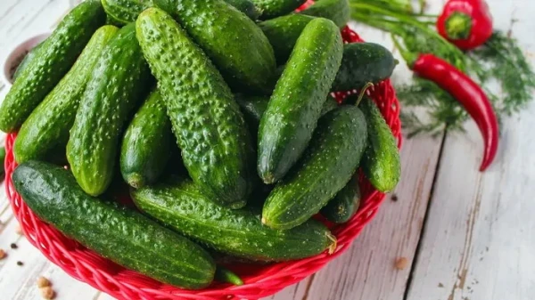 Crispy Lightly Salted Cucumbers in 5 Minutes (VIDEO)