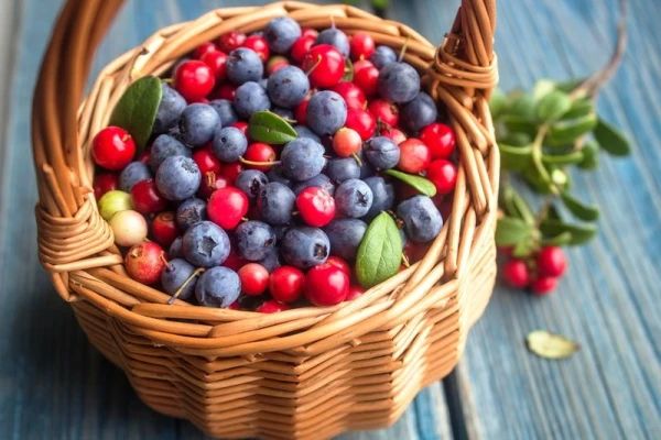 The Familiar Berry Turned Out to Be a Powerful Defender of Teeth and Gums