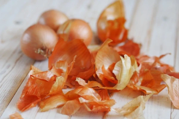 Onion Peel: The Savior of Crops and Protector Against Pests
